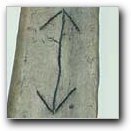 [Click to enlarge image]